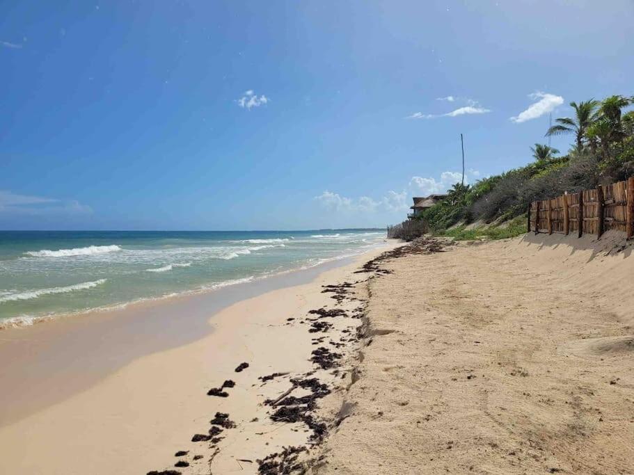 Luxury 5-Br Beachfront Home In Tulum Casa Sofia Gato Exteriör bild