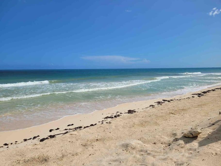 Luxury 5-Br Beachfront Home In Tulum Casa Sofia Gato Exteriör bild