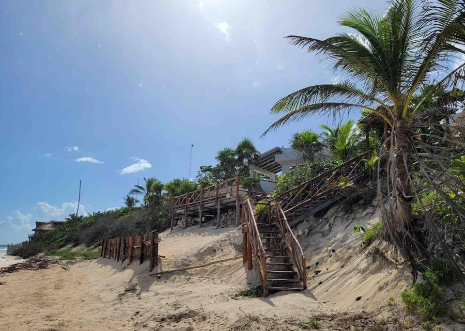 Luxury 5-Br Beachfront Home In Tulum Casa Sofia Gato Exteriör bild
